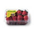 Save 50¢ off any Driscoll's® product (coupon sent by email) including raspberries, blueberries, blackberries, strawberries, organic